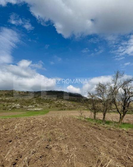 Teren intravilan de vanzare, 1500 mp, zona ?oimu? Teren intravilan de vanzare, 1500 mp, zona ?oimu?