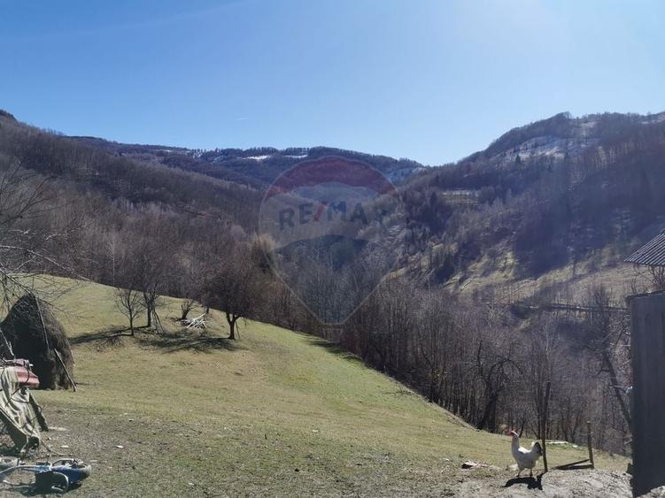 Teren Construcții intravilan de 10100 mp, în Munteni