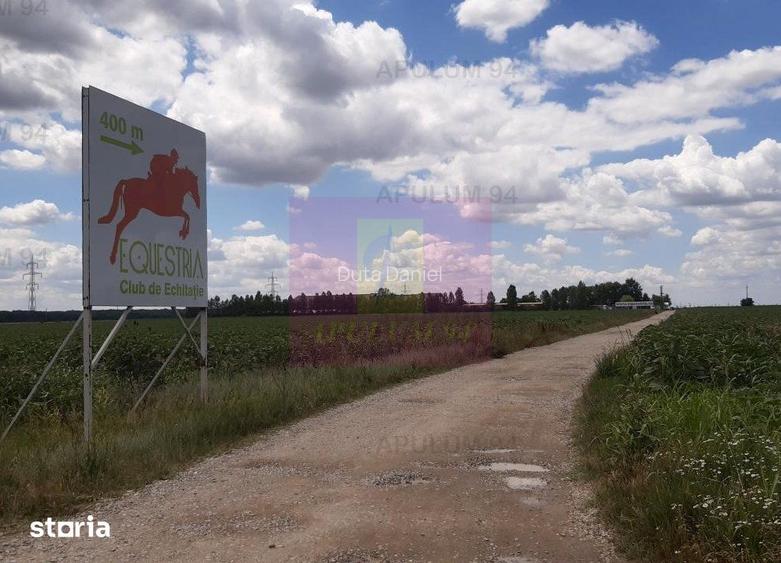 Teren 715mp in Snagov langa Equestria