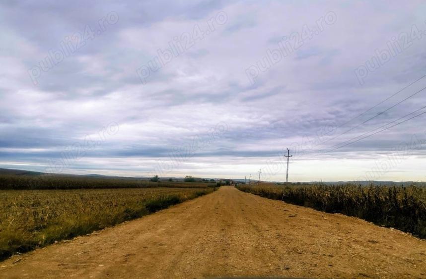 Teren de 2400 mp, în Șura Mică