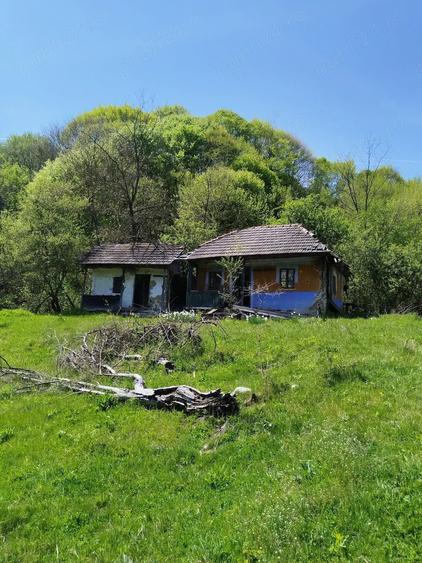 Teren de 7795 mp, în Opătești