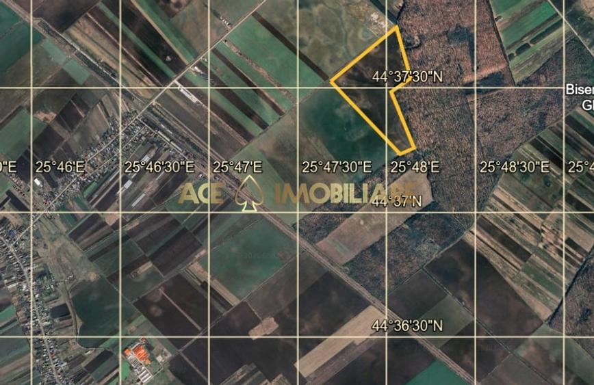 Teren agricol extravilan de 267526 mp, în Tărtășești