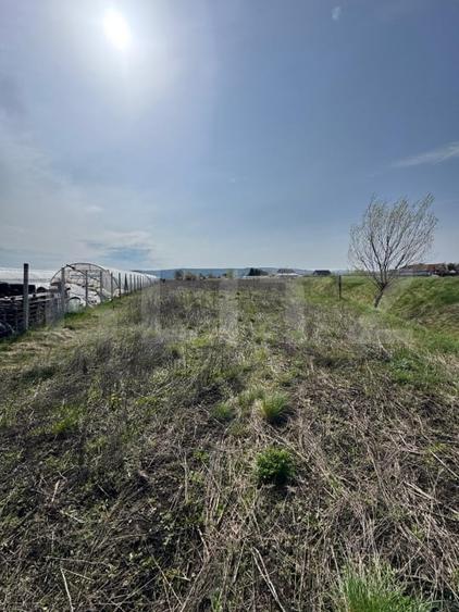 Teren agricol intravilan de 1706 mp, în Sântana de Mureș