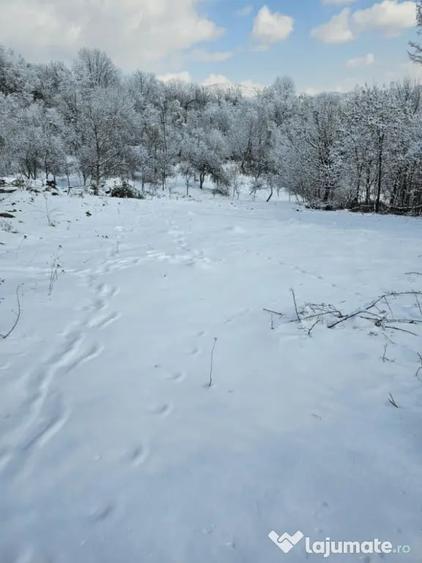 Teren de 950 mp, în Central
