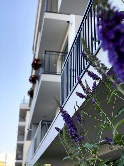 Apartament cu 2 camere în Turnișor