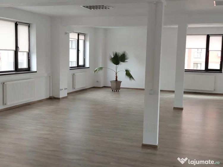 Firma ofera spre vanzare imobil D+P+3E+M cu functiuni mixte. Iasi - 6