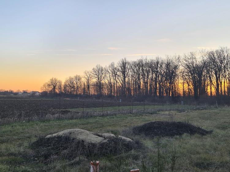 Teren 700 mp utili Teghes langa padure - 1