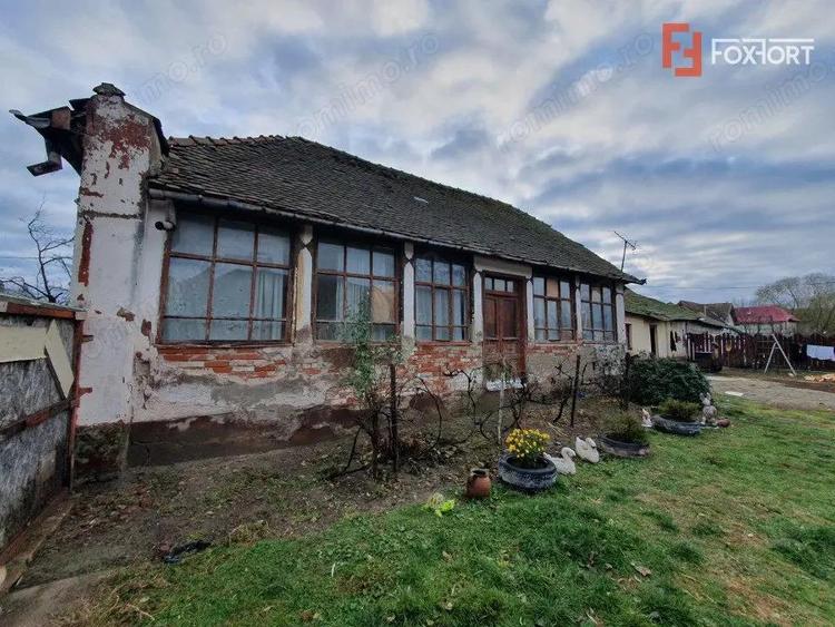 Teren intravilan de 1300 mp, Asfalt - Jebel - 7