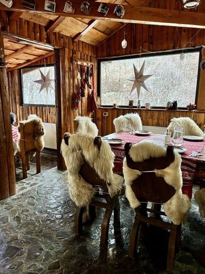 Afacere la cheie - Pensiunea Raiul de pe Râu - Munții Bucegi - 17