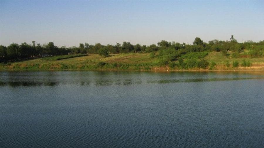 Teren INTRAVILAN cu deschidere la balta - 4