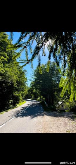 Vand cabana casa locuit Marisel - 4