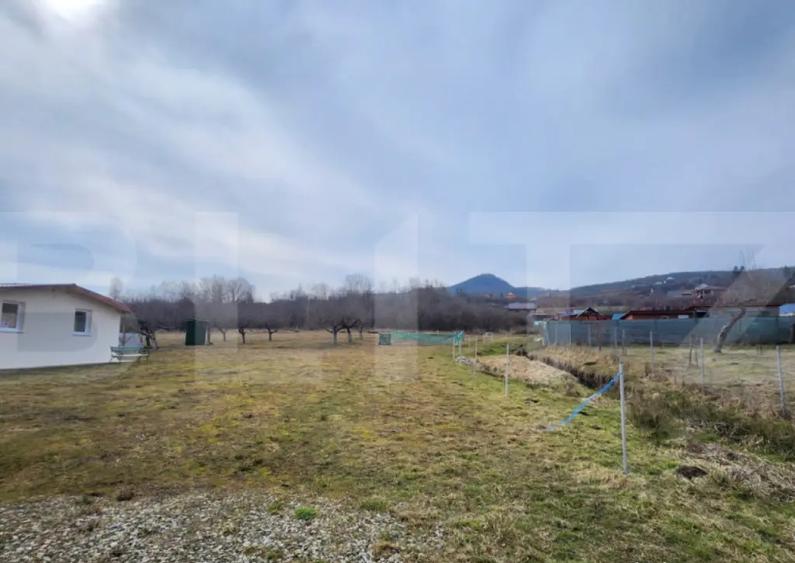 Teren extravilan, 20 de arii, Valea Rusului, pretabil pentru - 1