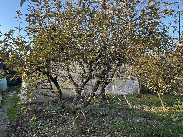 Casa 5 camere + teren 1475 mp + utilitati Pericei - 6