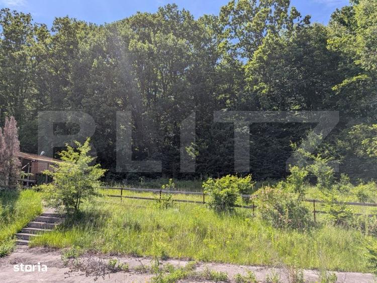 Teren intravilan cu Panorama Superba Aatre Padure Hulubesti, Buto - 3