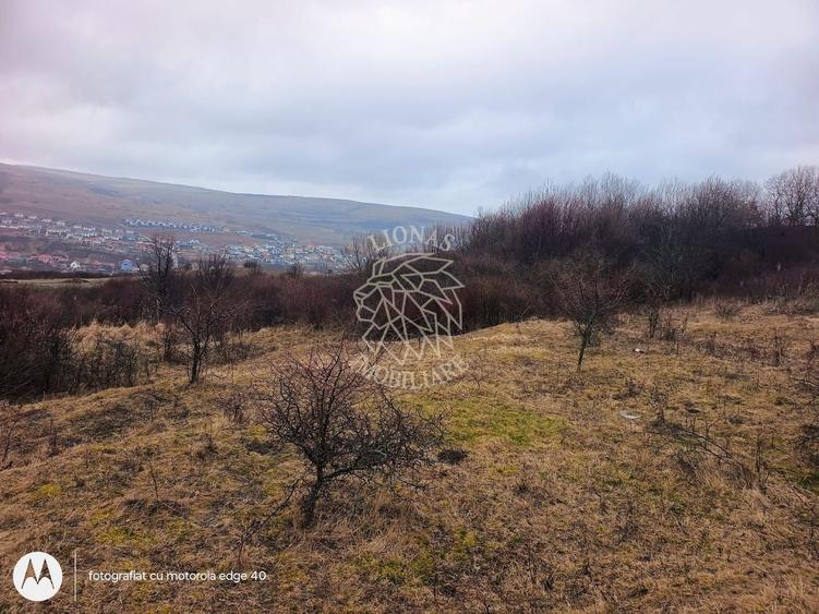 Teren 10000mp intravilan Chinteni 14 case aprobate  Investiție dezvoltator - 2