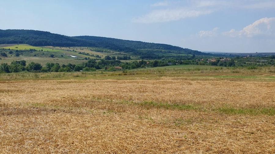 De vanzare teren in comuna Bogda judetul Timis !!! - 5