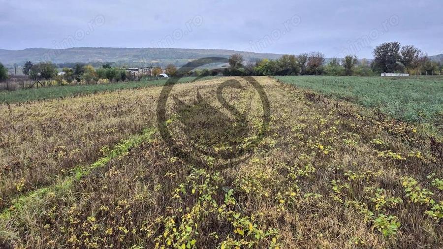 Teren intravilan de vanzare | 3.084mp | Plavia - Urlati | Comision 0% - 1