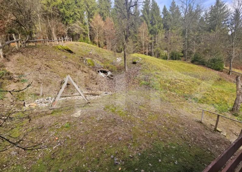 Lini?te, Natura ?i Spa?iu Casa Ideala cu 6 camere, - 3