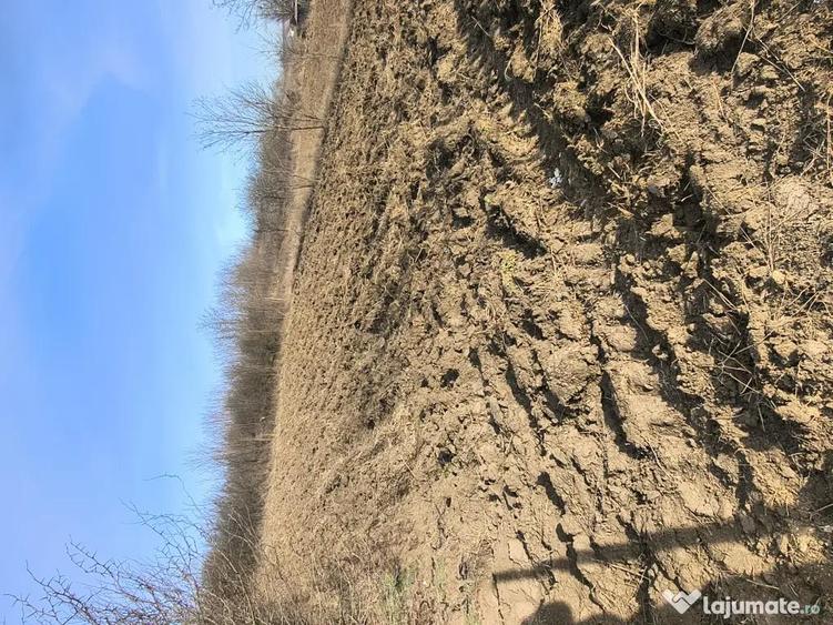 Teren intravilan Cuza-voda-Popricani 900mp - 1