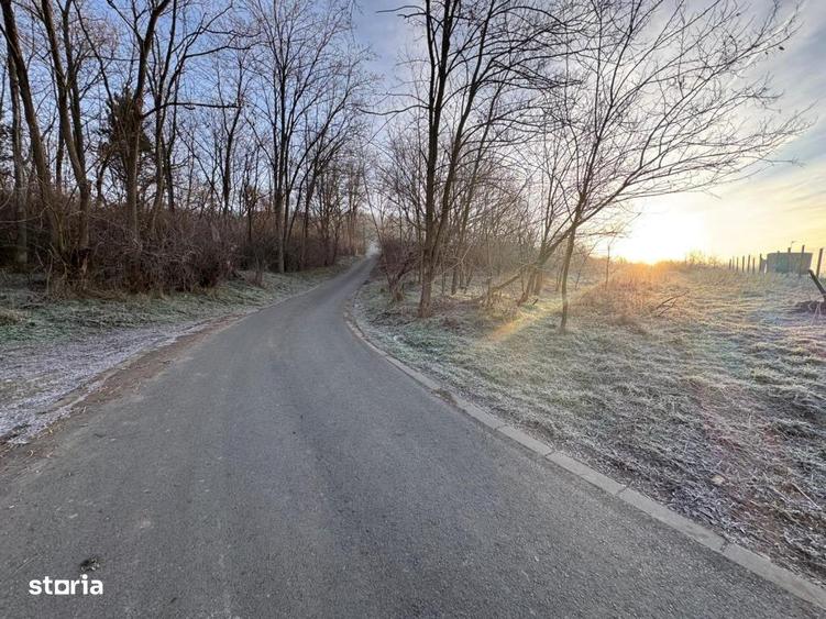 Teren de vanzare in Gusterita, cu acces asfaltat - 9