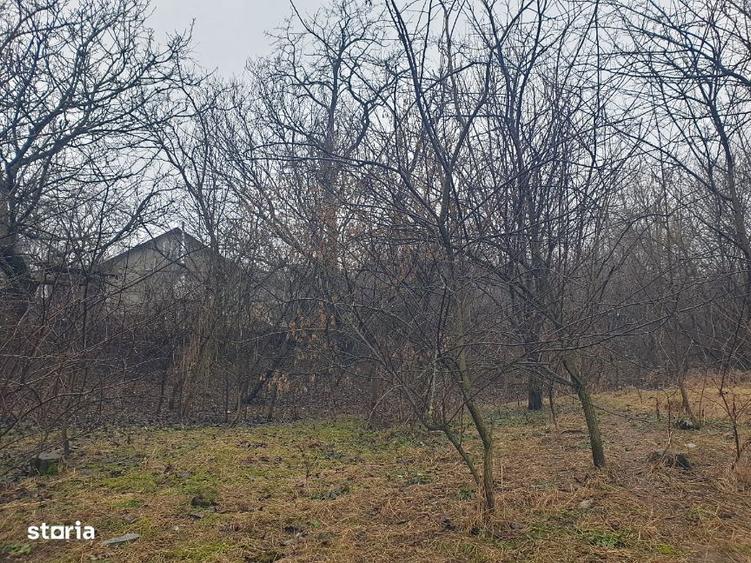 Teren intravilan IASI - COPOU - TICAU - Zona cu multa verdeata ! - 2