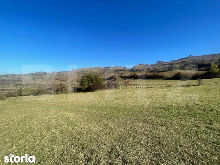 Exclusivitate ! Teren extravilan pretabil pentru constuctia unei caban - 3