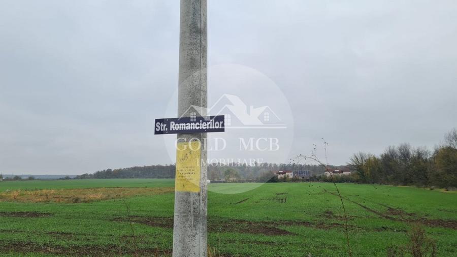 Teren Branesti -Romancierilor - 7