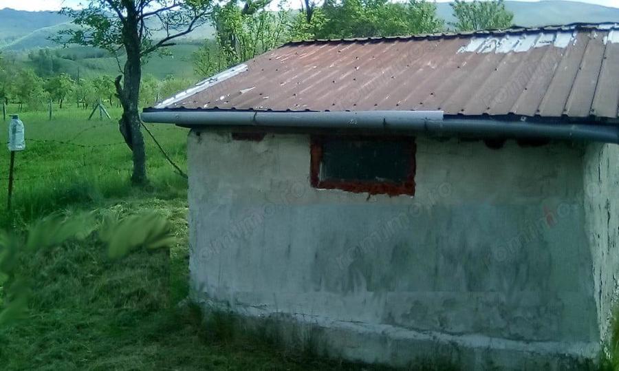 La Munte Teren 1400 MP.,, Cabana 11MP - 3