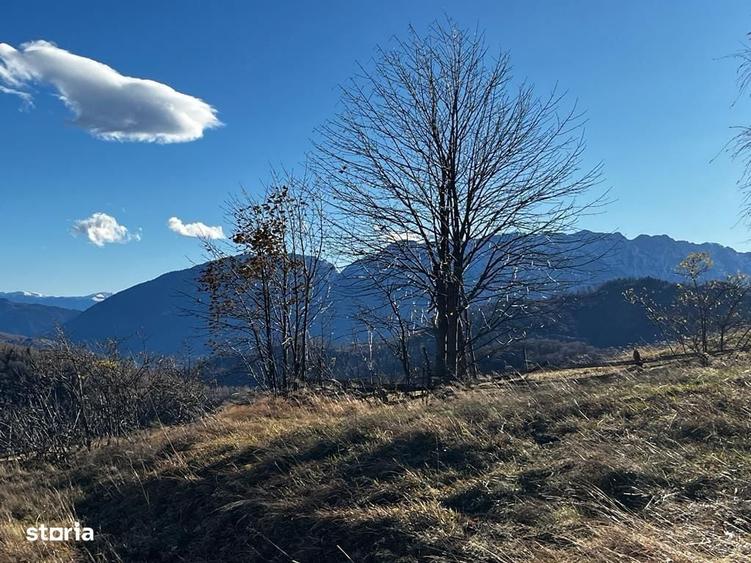 Proprietar vand teren extravilan 2ha, PANORAMA SUPER, Poiana Marului - 8