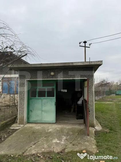Proprietate completa in Sacuieni- Doua Case + Anexe - 12