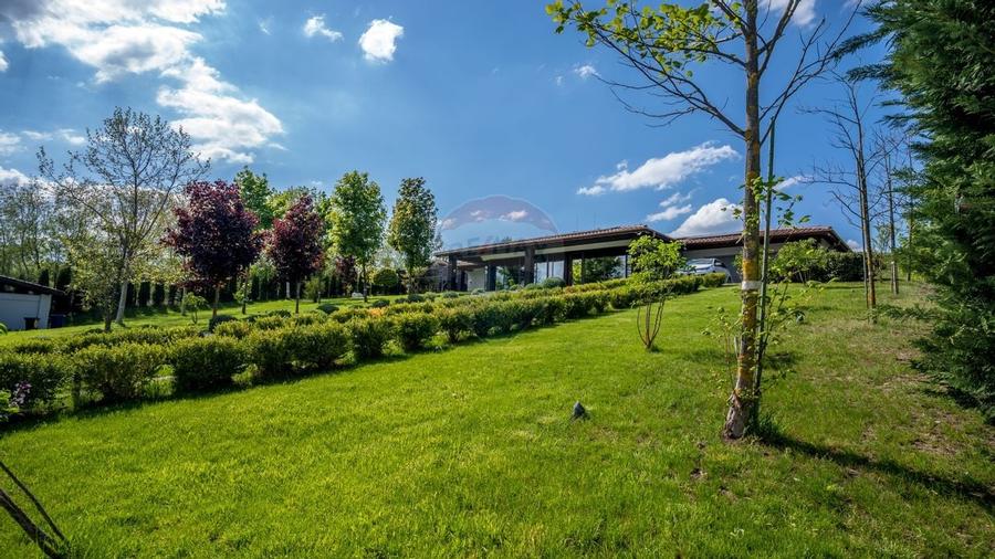 Pret Preferential- Oferta limitata pana la 31 Decembrie - 32