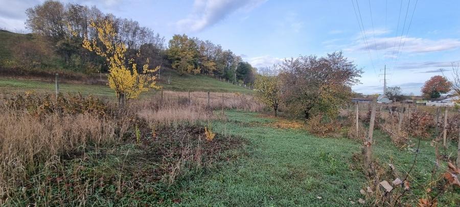 Teren intravilan imprejmuit la intrare in Curtesti - 3