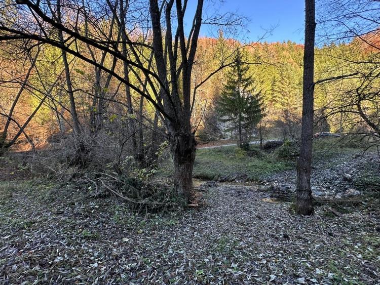 Teren 2.882 mp – oportunitate investitie - Cheile Dambovicioarei - 15