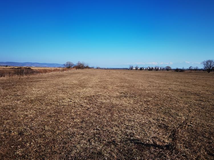 Oportunitate unica – Teren extravilan cu potential agricol si turistic, Poplaca - 4