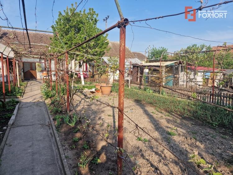 Casa individuala de vanzare cu 4 camere si teren de 800 mp - Recas - 20