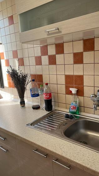 Pe frumoasa strada Platanilor, renumita pentru zona inverzita-zona IOSEFIN-mobilat - 15