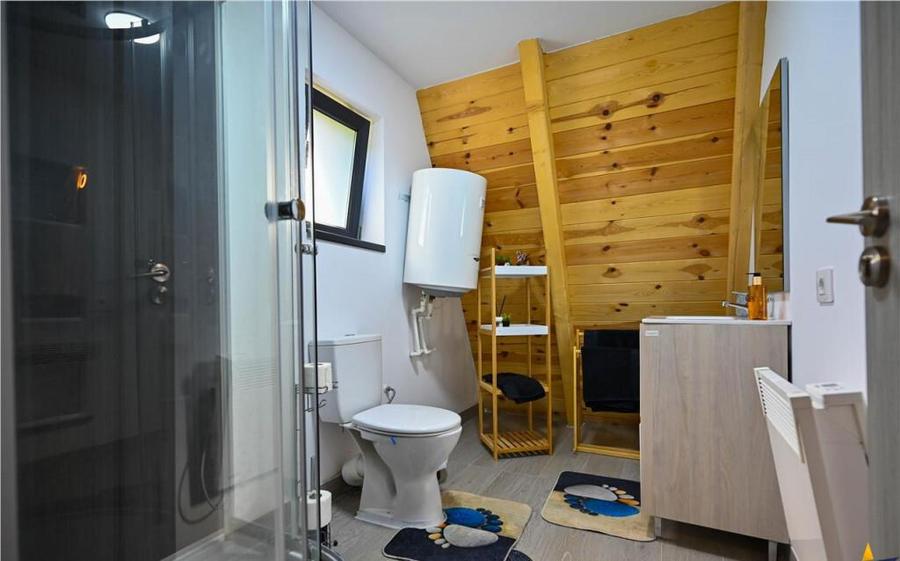 2 Case A frame,mobilate,accesorizate, 2.500 mp teren,peisaj, - 3