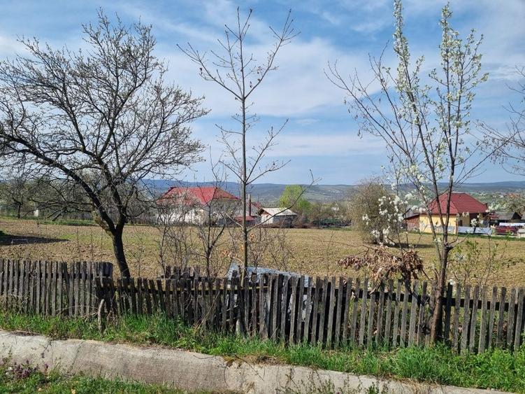 Casa cu teren 44 arii - 2