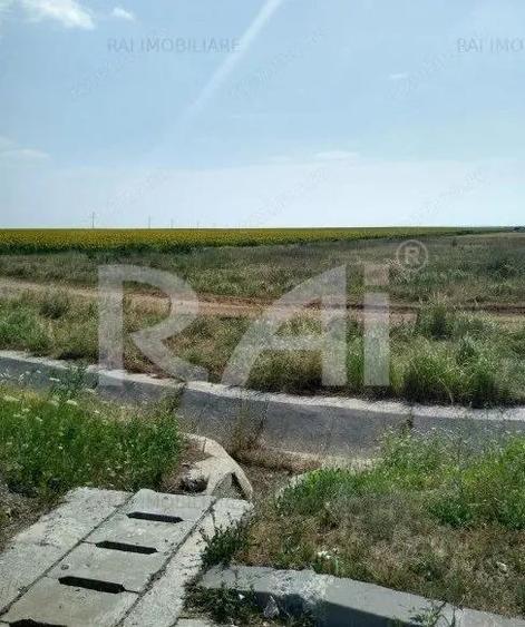 Oportunitate investitie teren,loturi-3900 euro, numai 7,9 euro/ mp - 7