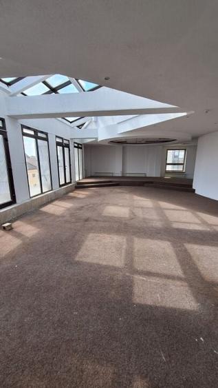 Spatiu comercial/Clinica/Cladire de birouri - Sibiu - 10