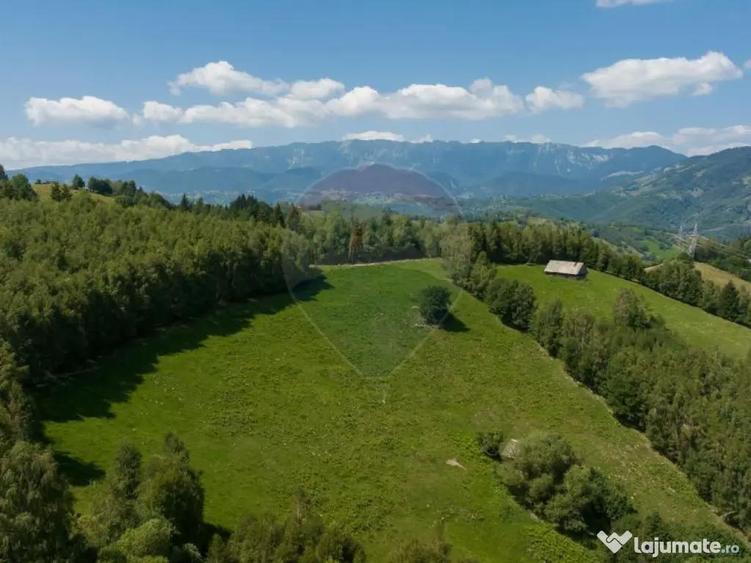 Teren Panoramic in Bran Vedere spre Bucegi & Piatra C... - 4