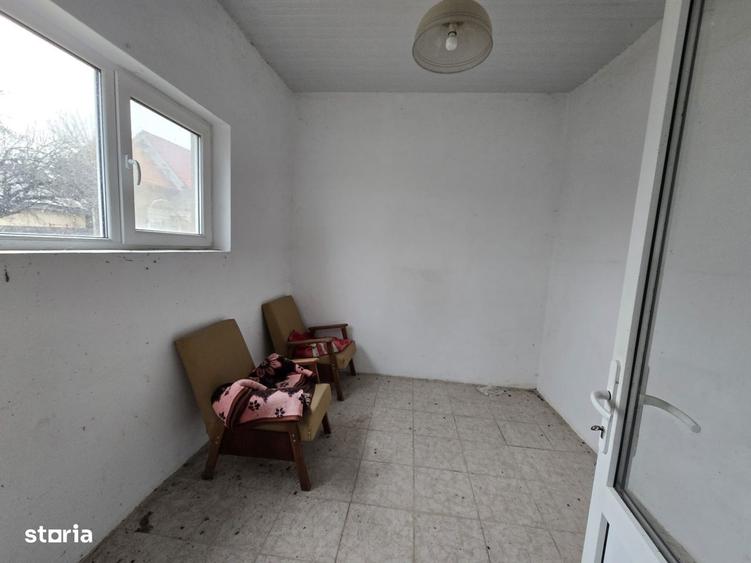 HALA -CARAMIDA -LUIZI CALUGARA-BACAU - 2