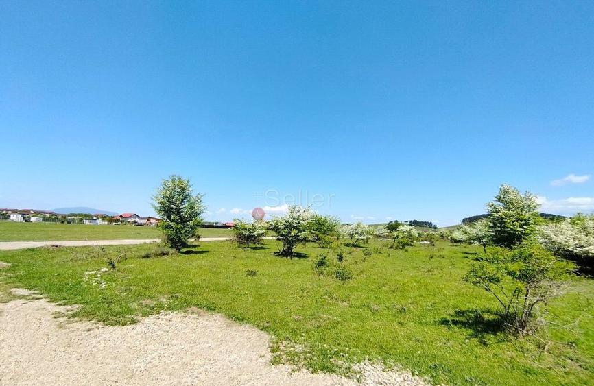 Teren Intravilan - 4