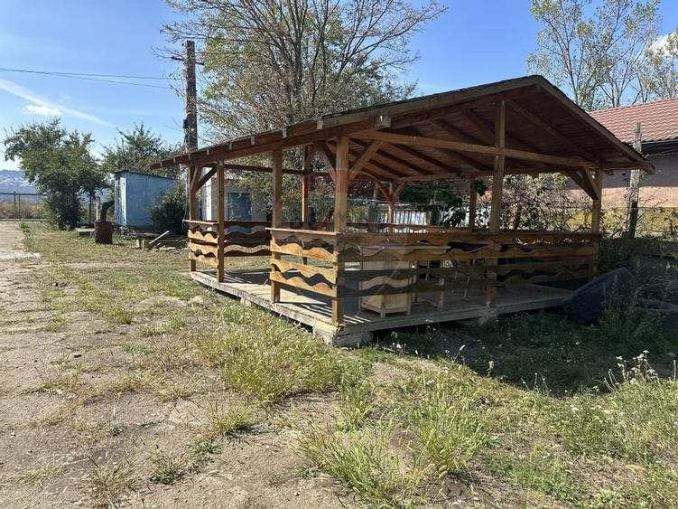 Spațiu industrial hale depozitare si productie - 3