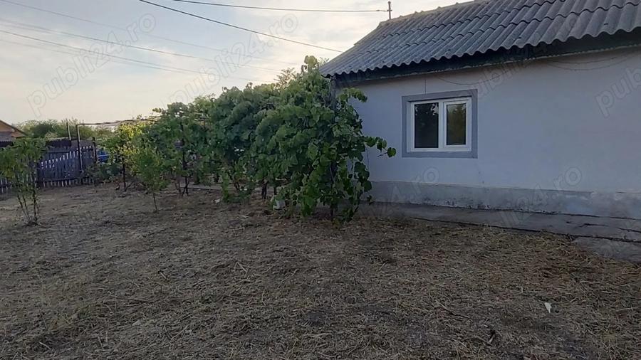 Vand casa cu teren de 2080 mpin Dor Marunt - 5
