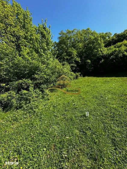 Teren intravilan de vanzare 1439 mp Luncani strada Slatinei - Bacau - 11