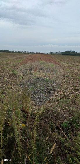 Teren extravilan 3000mp de vanzare la Santion - 3