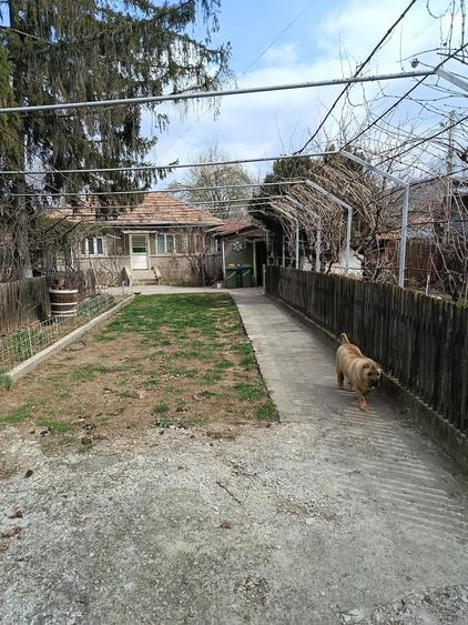 Vand casa batraneasca,sat plescoi - 1