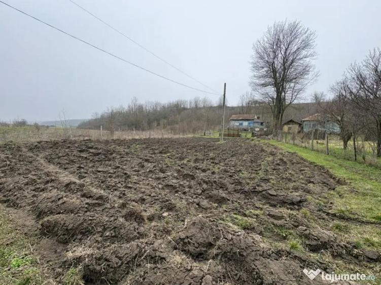 Teren 2.038 mp + Casa 50 mp de vanzare Sat Luncsoru, C - 1