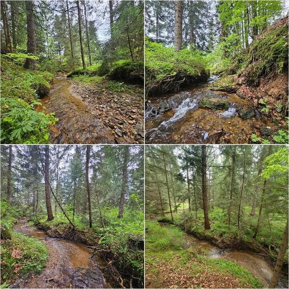 Casa vacanta Dealu Negru Cala?ele Padure - 7